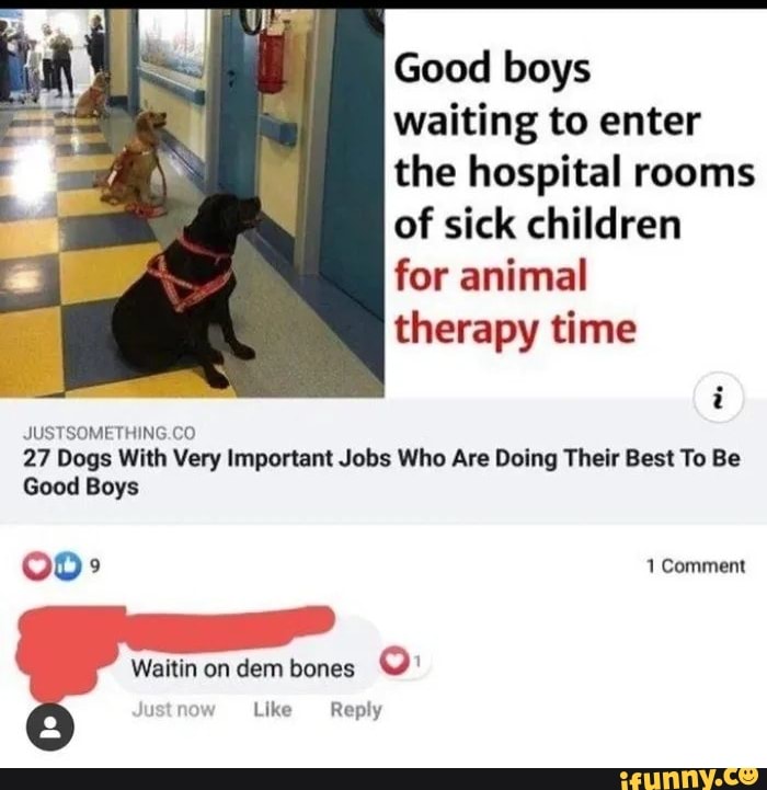 Good boys
waiting to enter
the hospital rooms
of sick children
for animal
therapy time
JUSTSOMETHING.CO
27 Dogs With Very Important Jobs Who Are Doing Their Best To Be
Good Boys
Waitin on dem bones
Justnow Like Reply