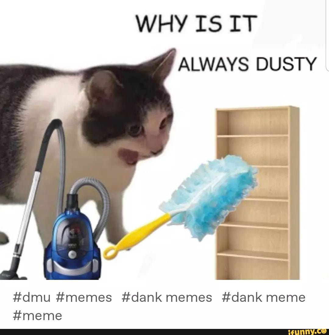 WHY IS IT ALWAYS DUSTY dmu memes dank memes dank meme meme iFunny