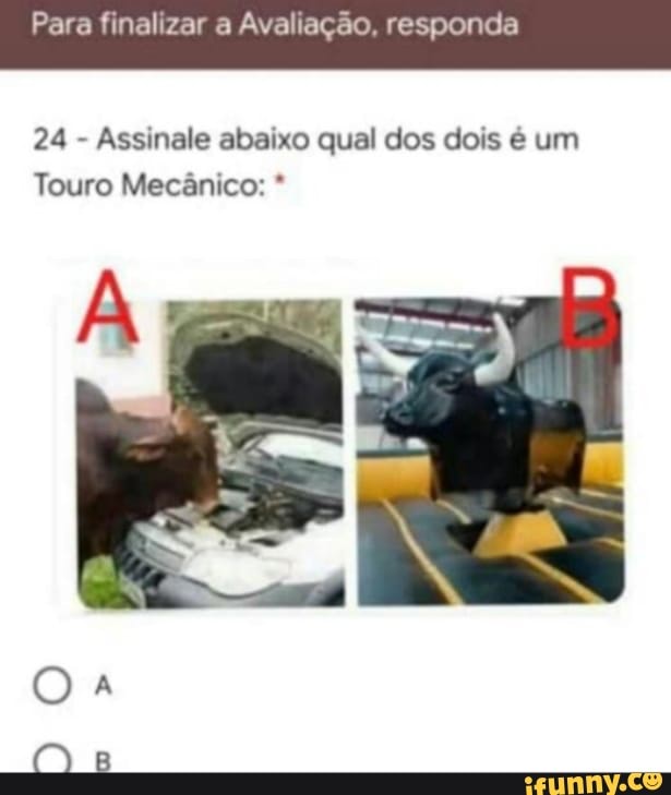 Para finalizar a Avaliação, responda
24 - Assinale abaixo qual dos dois é um
Touro Mecânico: *