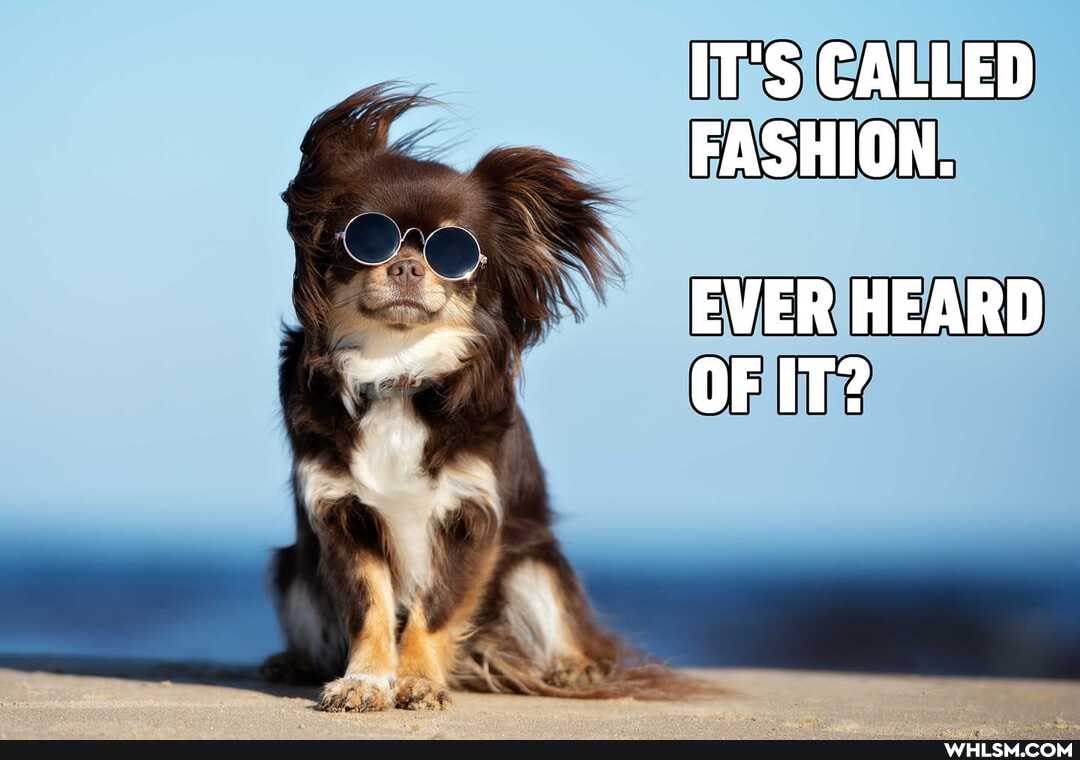 IT'S CALLED FASHION.
EVER HEARD OF IT?