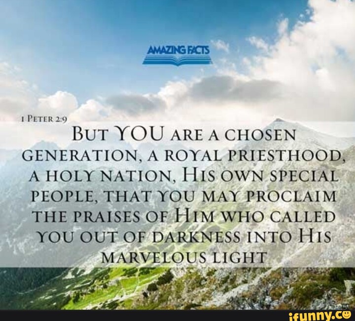 PETER BuT YOU ARE A CHOSEN GENERATION, A ROYAL PRIESTHOOD, A HOLY