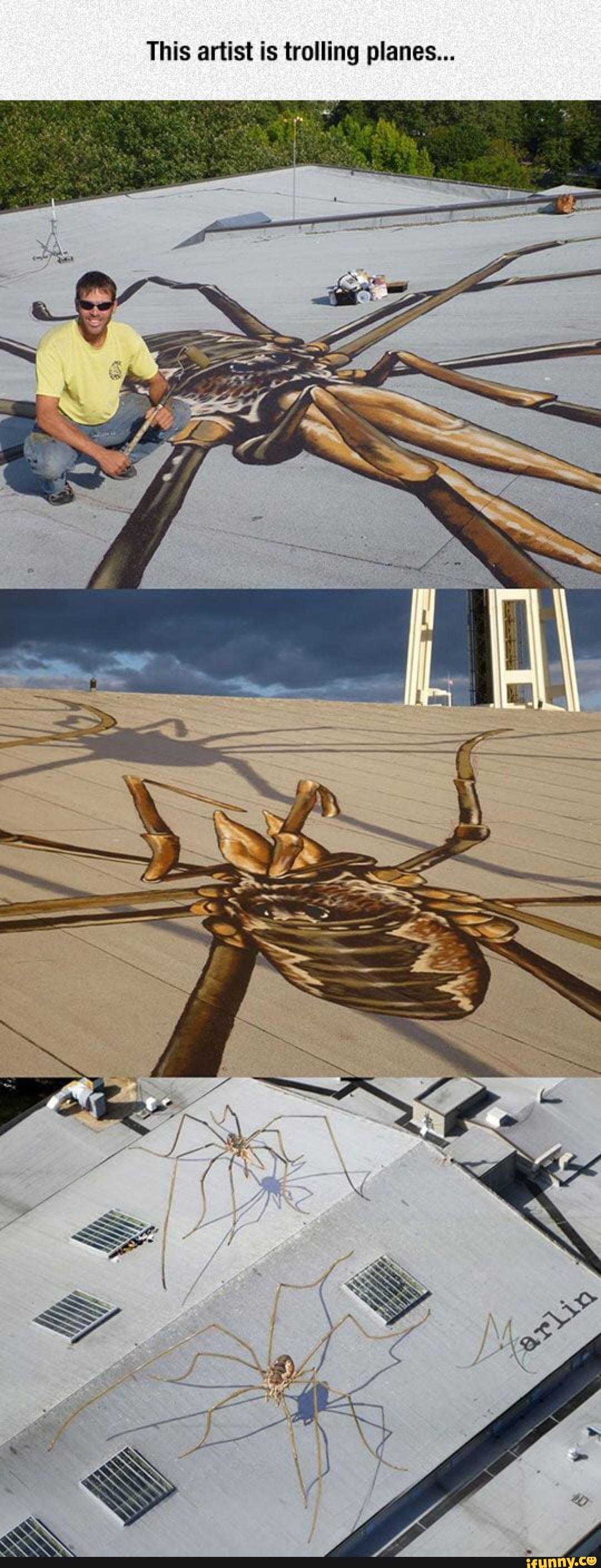 This artist is trolling planes...