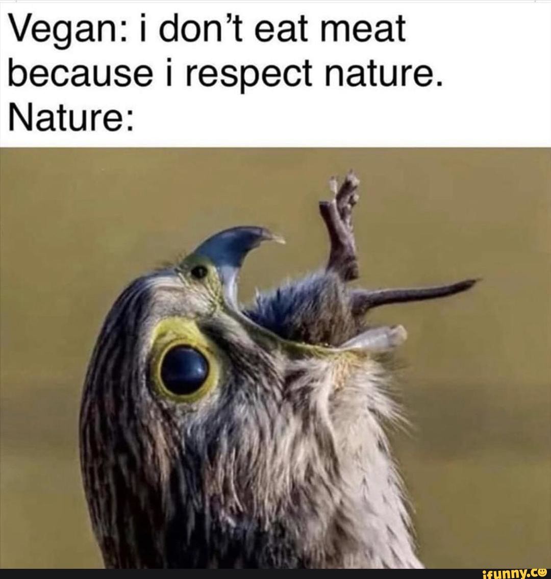 Vegan: i don’t eat meat because i respect nature. - iFunny