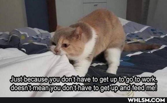 Just: thave to get up ave to, getiup'and