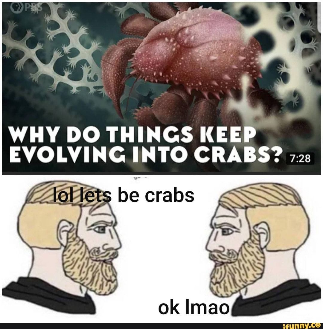 Why Do Things Keep Evolving Into Crabs