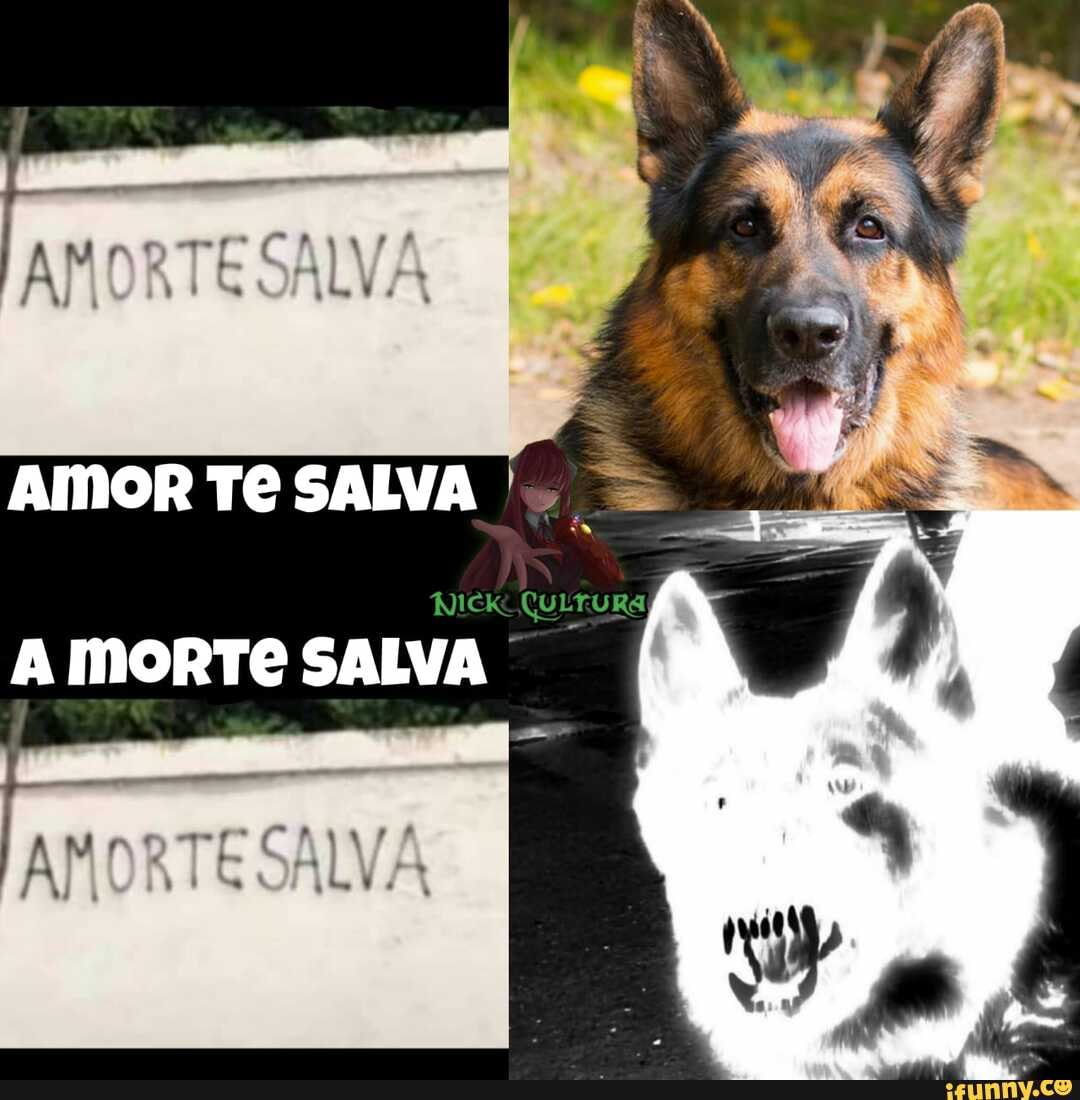 AMOR TE SALVA
NICk QULTURA
A MORTE SALVA
