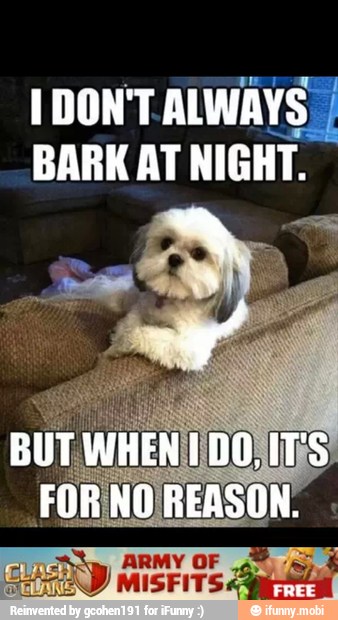IDONTALWAYS I
BARK AT NIGHT.
ARMY OF E
MISFITS E