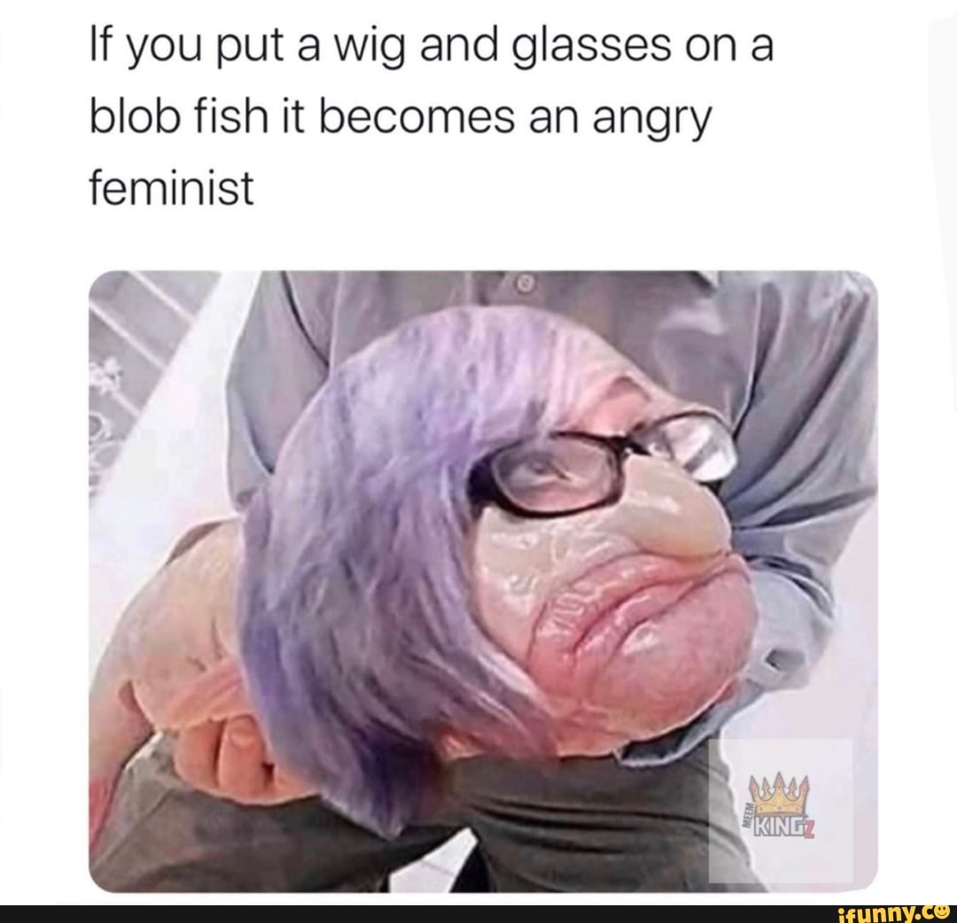 If you put a wig and glasses on a blob fish it becomes an angry feminist
KING