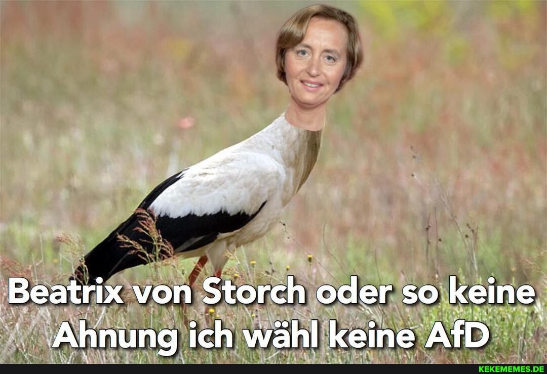 Beatrix von Storch oder so keine,
Ahnung ich wähl keine AfD