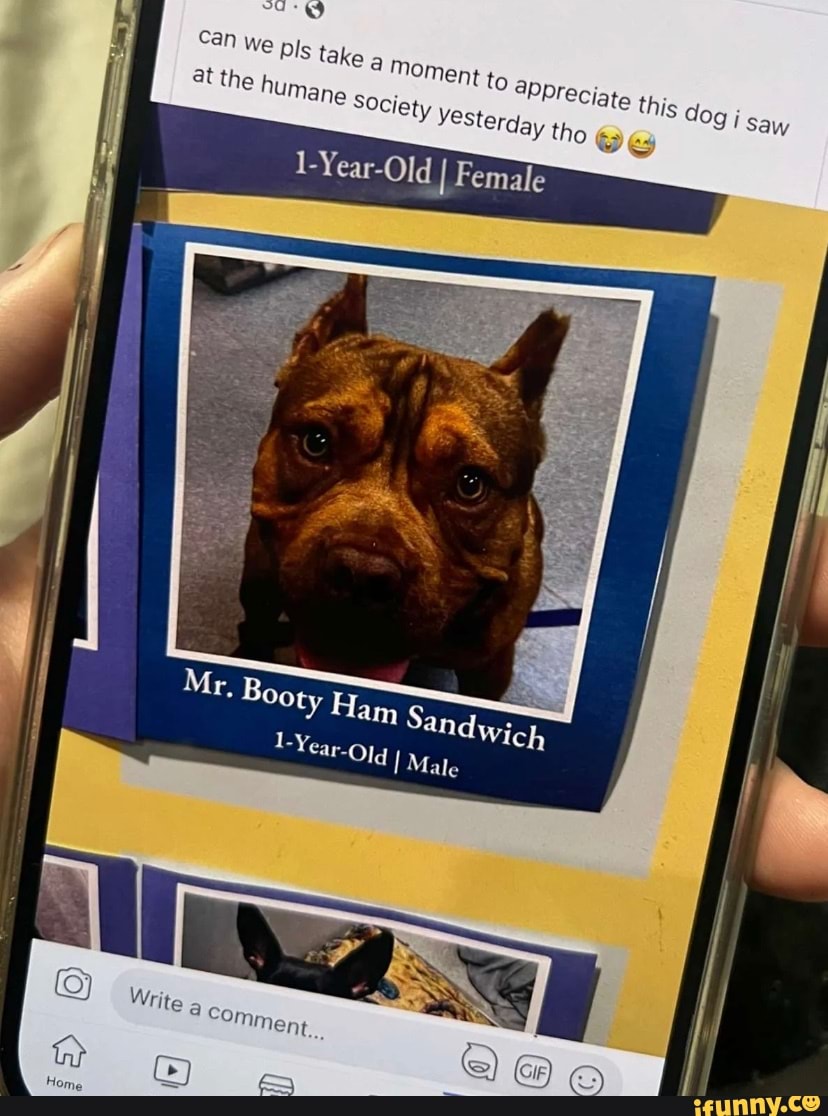 Picture memes JeLsYBdx9 by MikeyPoo 1 comment )