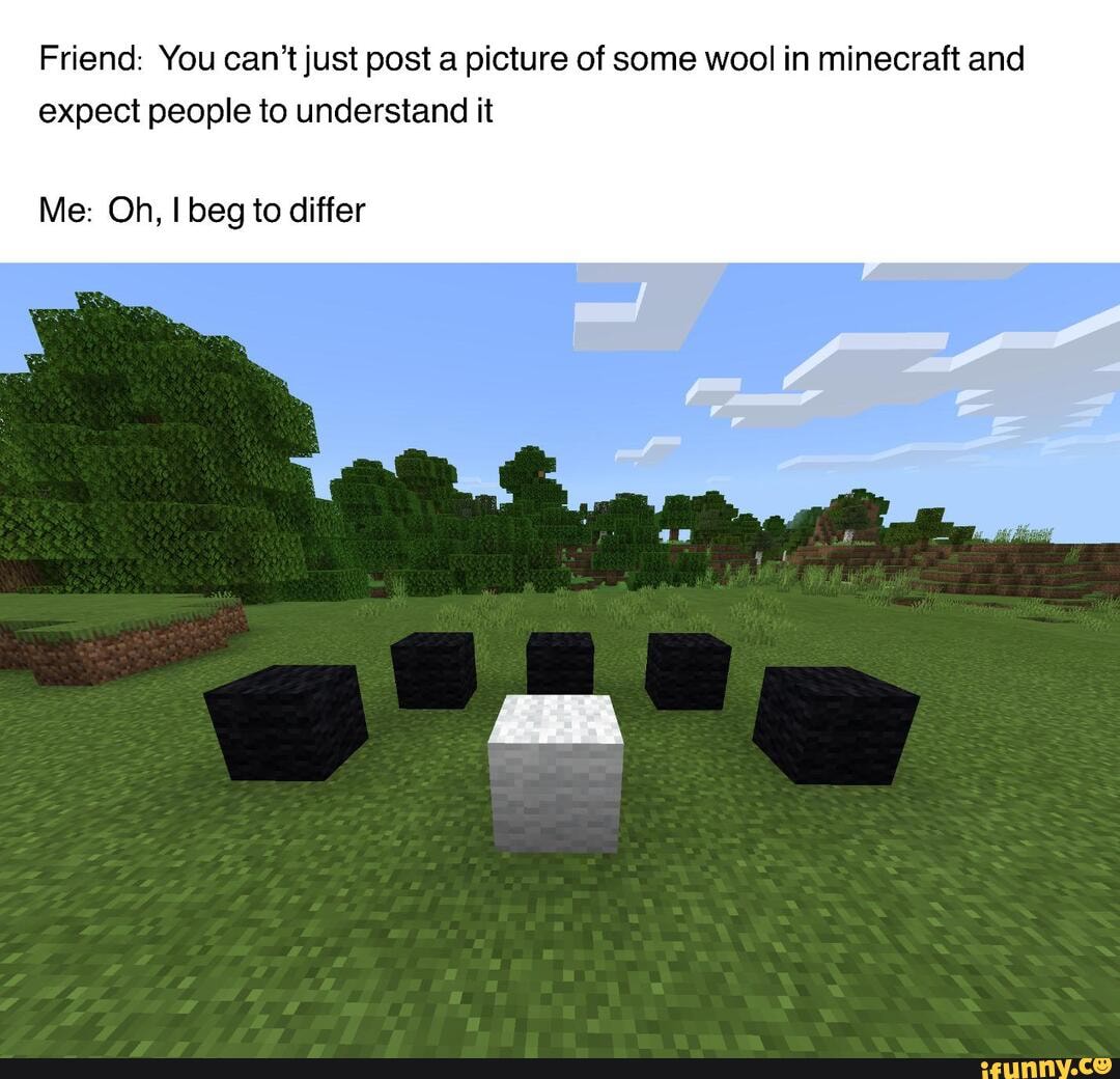 Friend: You can't just post a picture of some wool in minecraft and expect people to understand it
Me: Oh, beg to differ
