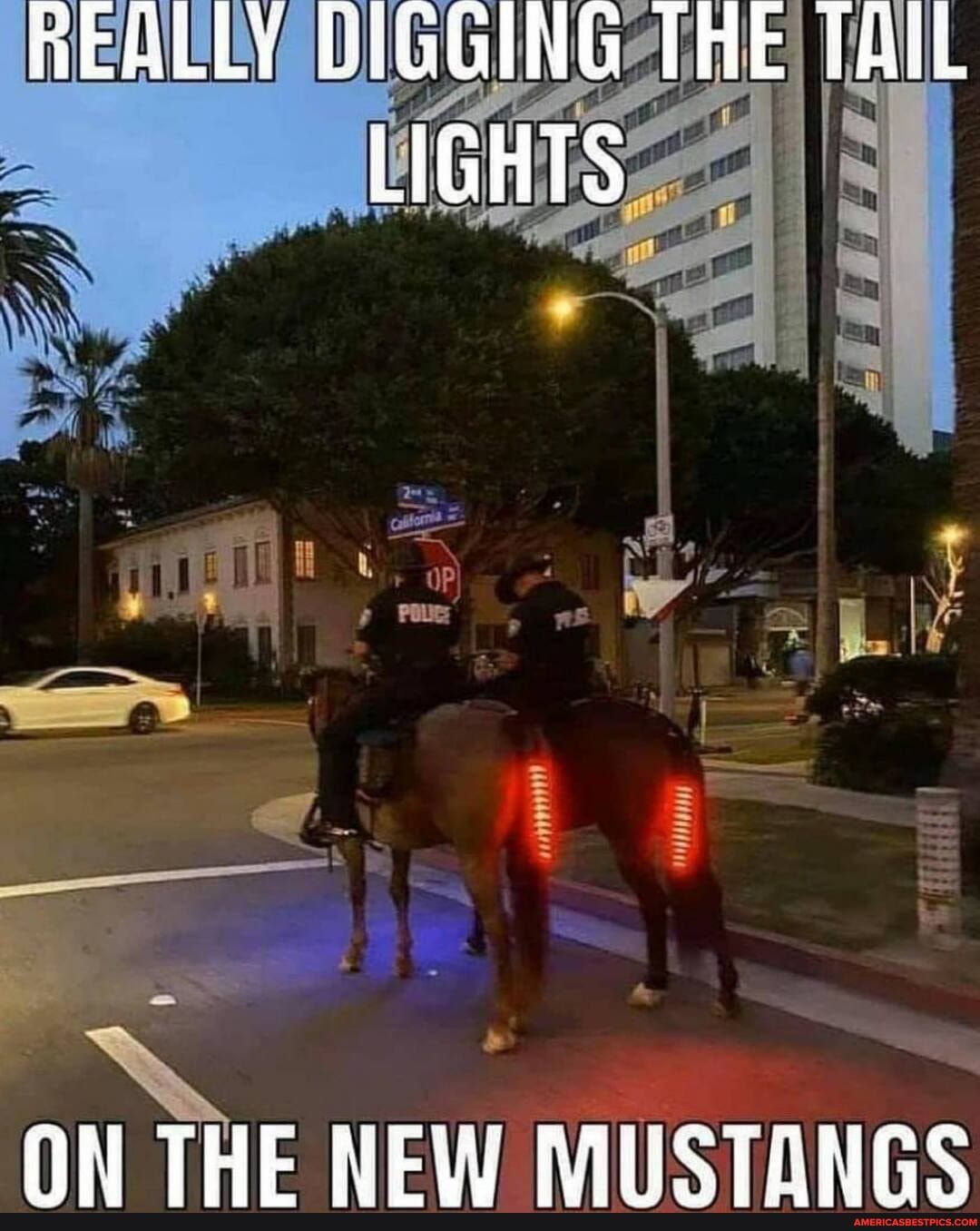 HEALLY UIGGING THE LIGHTS
ON THE NEW TENG