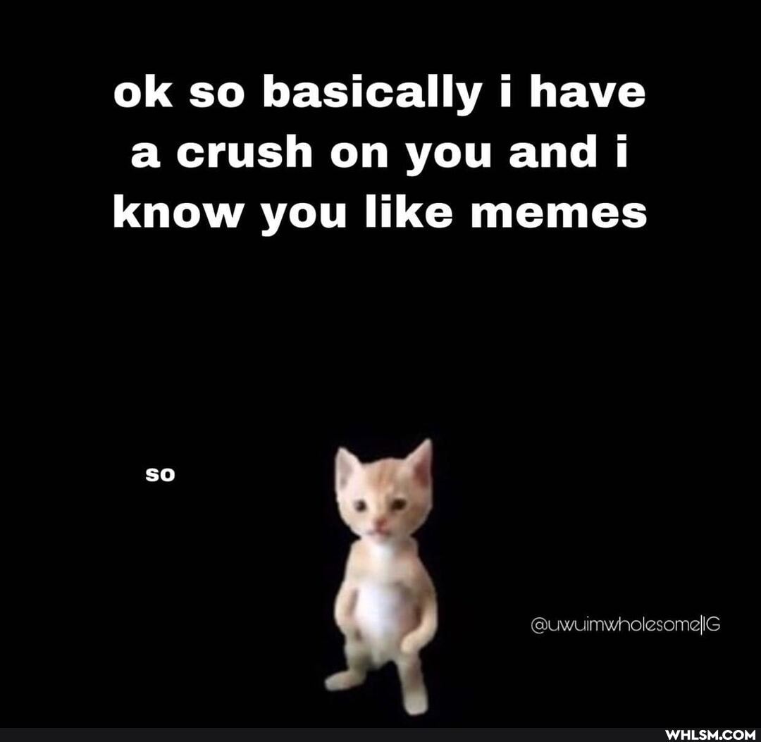 ok so basically have a crush on you and know you like memes
so