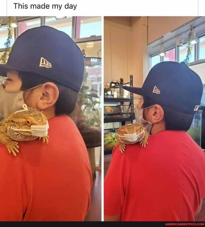 This made my day