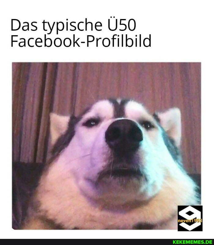Das typische
Facebook-Profilbild