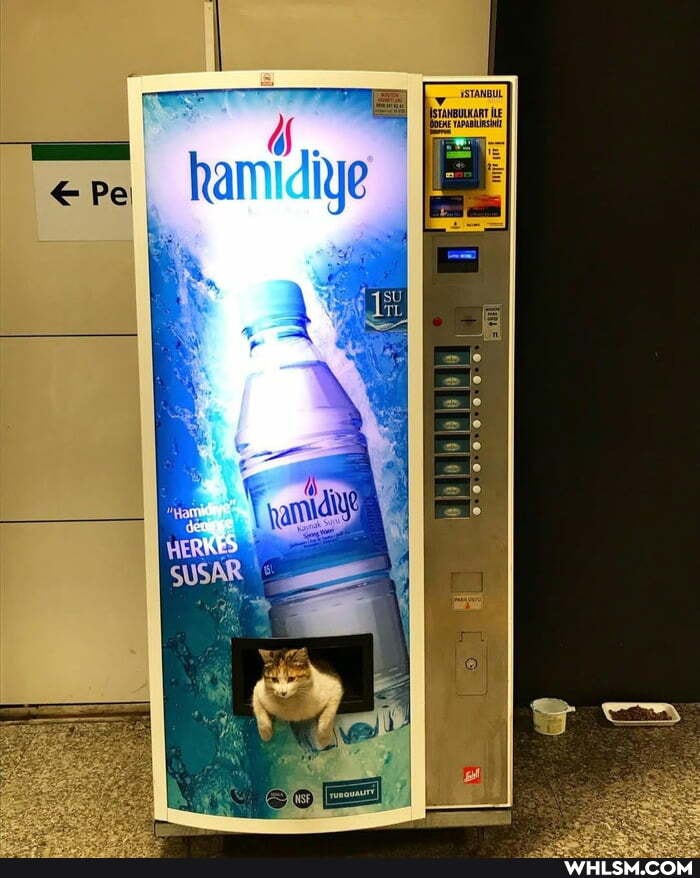 ere ham
ere hamidiye