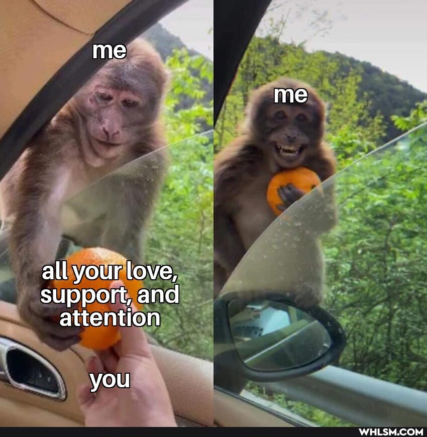 me
me
all your love, support, and attention
you