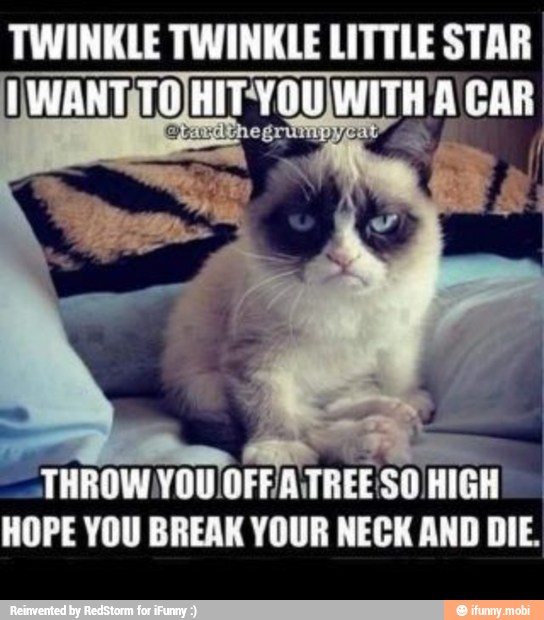 TWINKLE TWINKLE LITTLE STAR
"THROW YOUOFFATREESO HIGH
HOPE YOU BREAK YOUR NECK AND DIE.