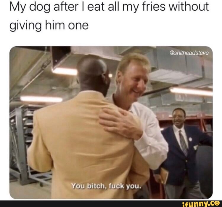 My dog after I eat all my fries without
giving him one