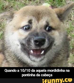 Quando a
10/10 da aquela
mordidinha
na
pontinha da cabeça - Quando a 10/10 da aquela mordidinha na pontinha da cabeça
