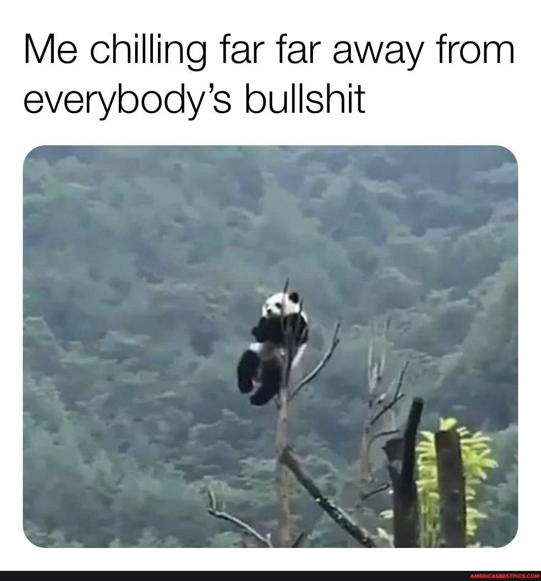 Me chilling far far away from everybody's bullshit