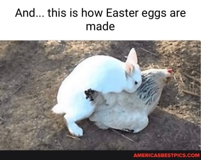 And... this is how Easter eggs are made