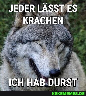 JEDER LÄSST ES KRACHEN
ICH HAB DURST