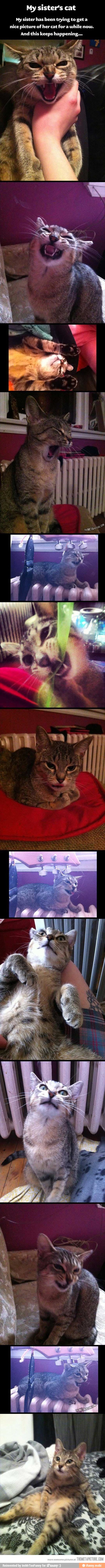 My sister has been trying to geta
nice picture of her cat for a
while now.
And this keeps happening...