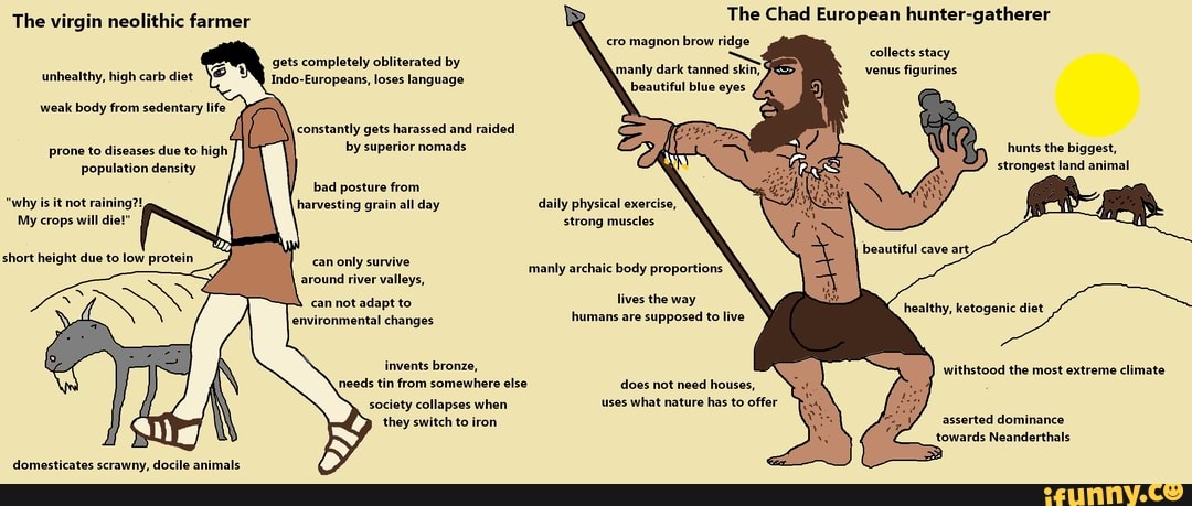 The Chad European Hunter Gatherer Cro Magnon Brow Ridge The Virgin Neolithic Farmer Gets