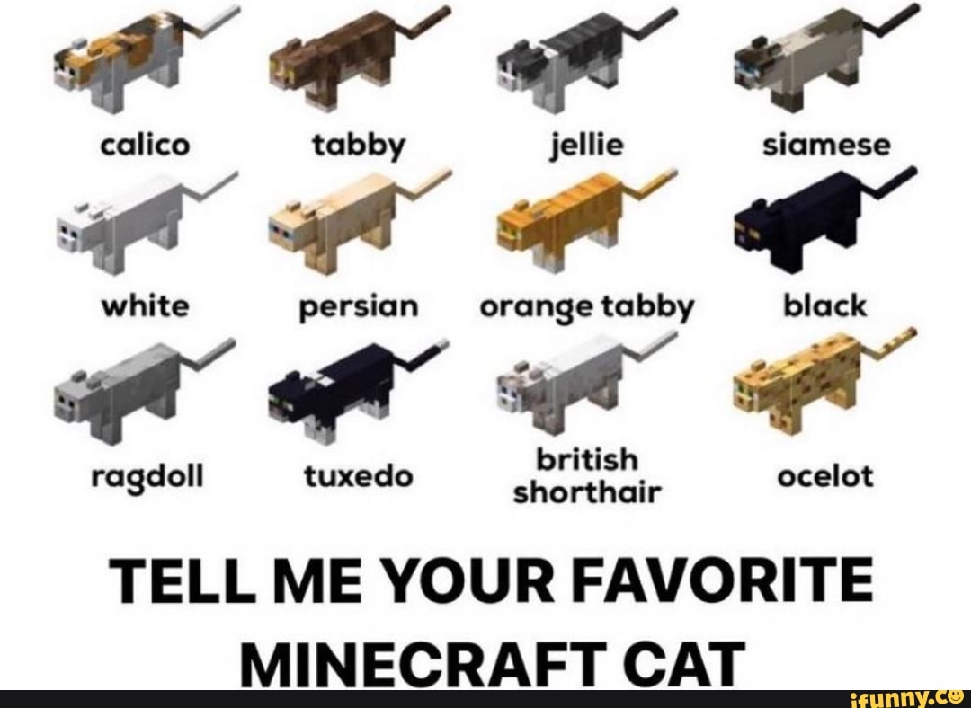 Doremifaso64 calico cat minecraft series. Tabby Cat Minecraft. Calico Cat Minecraft.