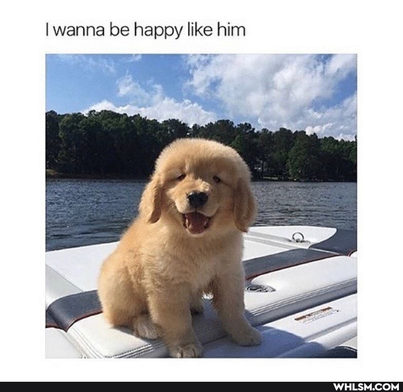 I wanna be happy like him