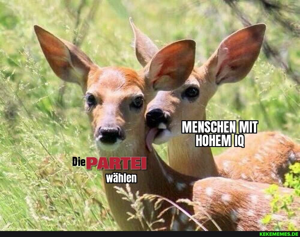 MENSCHEN MIT HOHEM
wählen