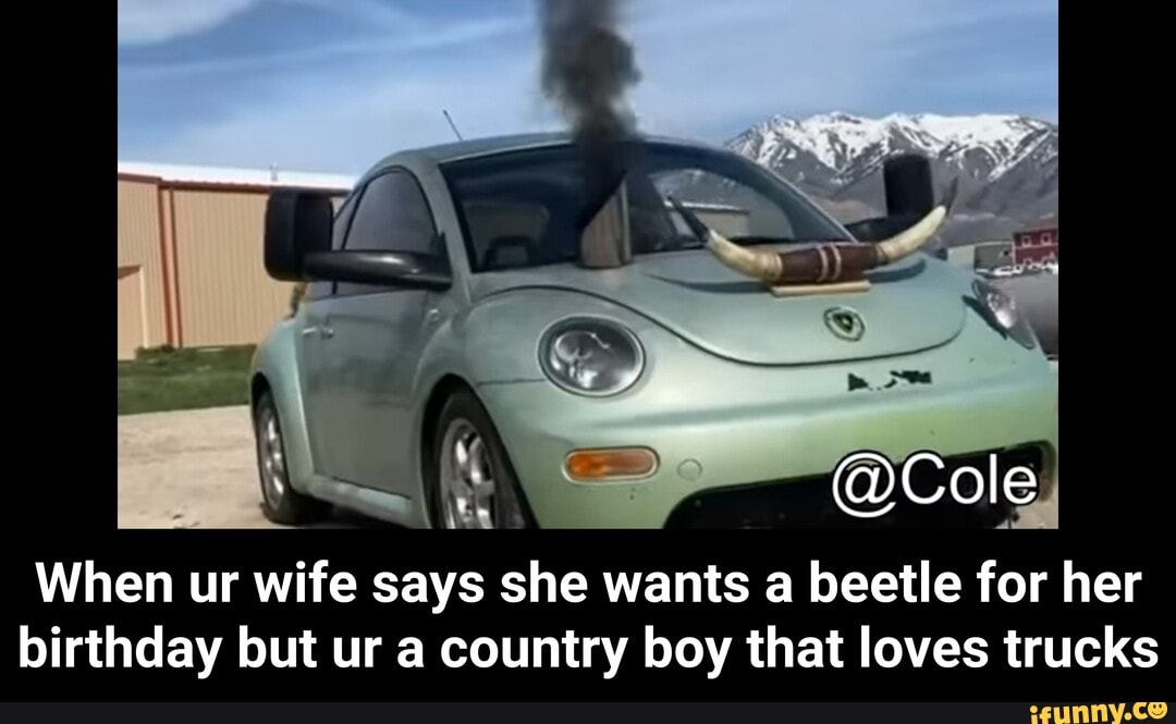 @Cole
When ur wife says she wants a beetle for her birthday but ur a country boy that loves trucks - When ur wife says she wants a beetle for her birthday but ur a country boy that loves trucks