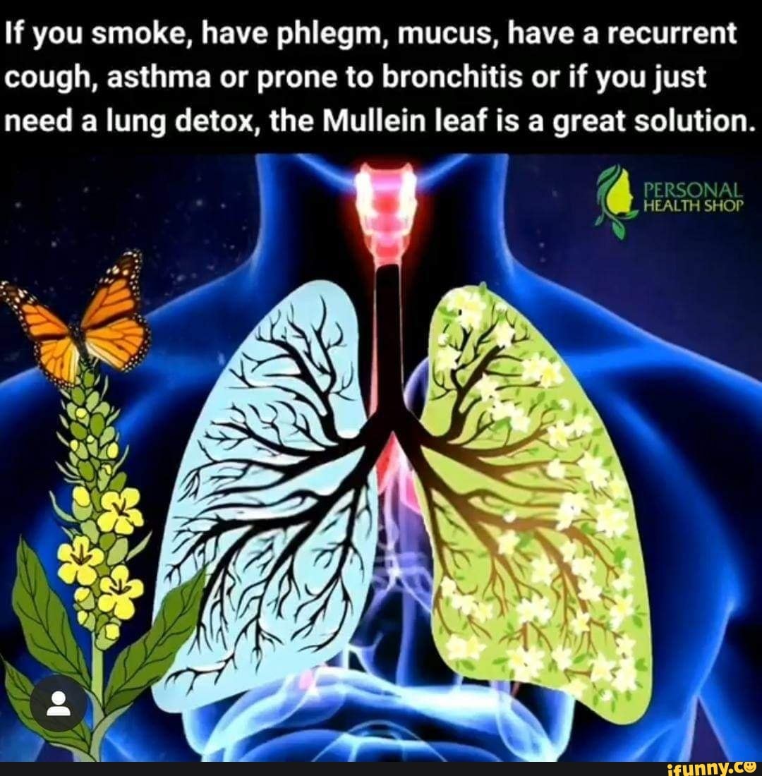 If you smoke, have phlegm, mucus, have a recurrent cough, asthma or