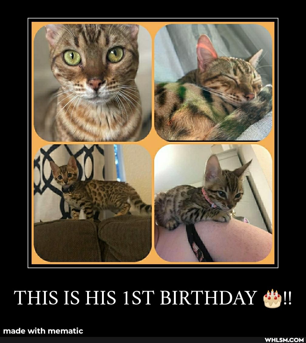 THIS IS HIS BIRTHDAY