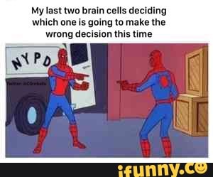 My last two brain cells deciding which one is going to make the wrong ...