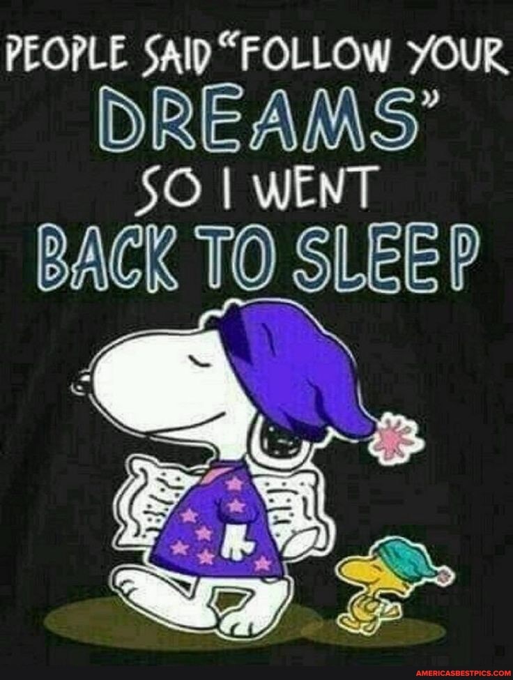 PEOPLE SAID "FOLLOW YOUR
DREAMS
I WENT
TO SLEEP