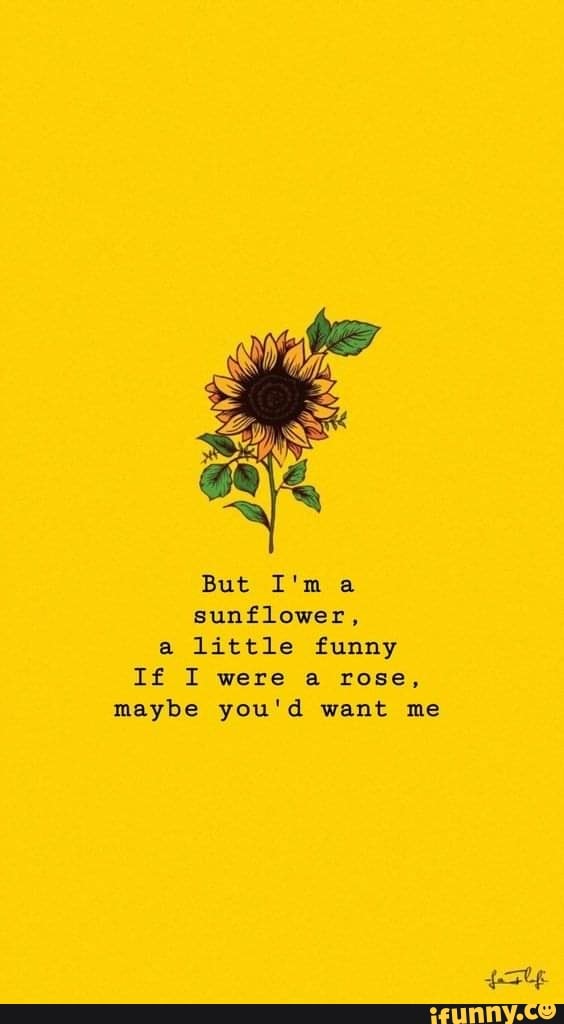 Letras.mus.br - But I'm a sunflower, a little funny⠀ If I were a rose,  maybe you'd want me⠀ If I could, I'd change overnight⠀ I'd turn into  something you'd like 🌻 