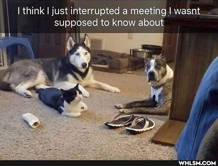 I think I just interrupted a meeting! wasnt supposed to know about