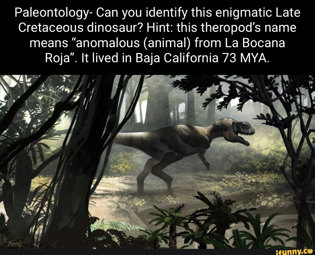 Paleontology- Can You Identify This Enigmatic Late Cretaceous Dinosaur 