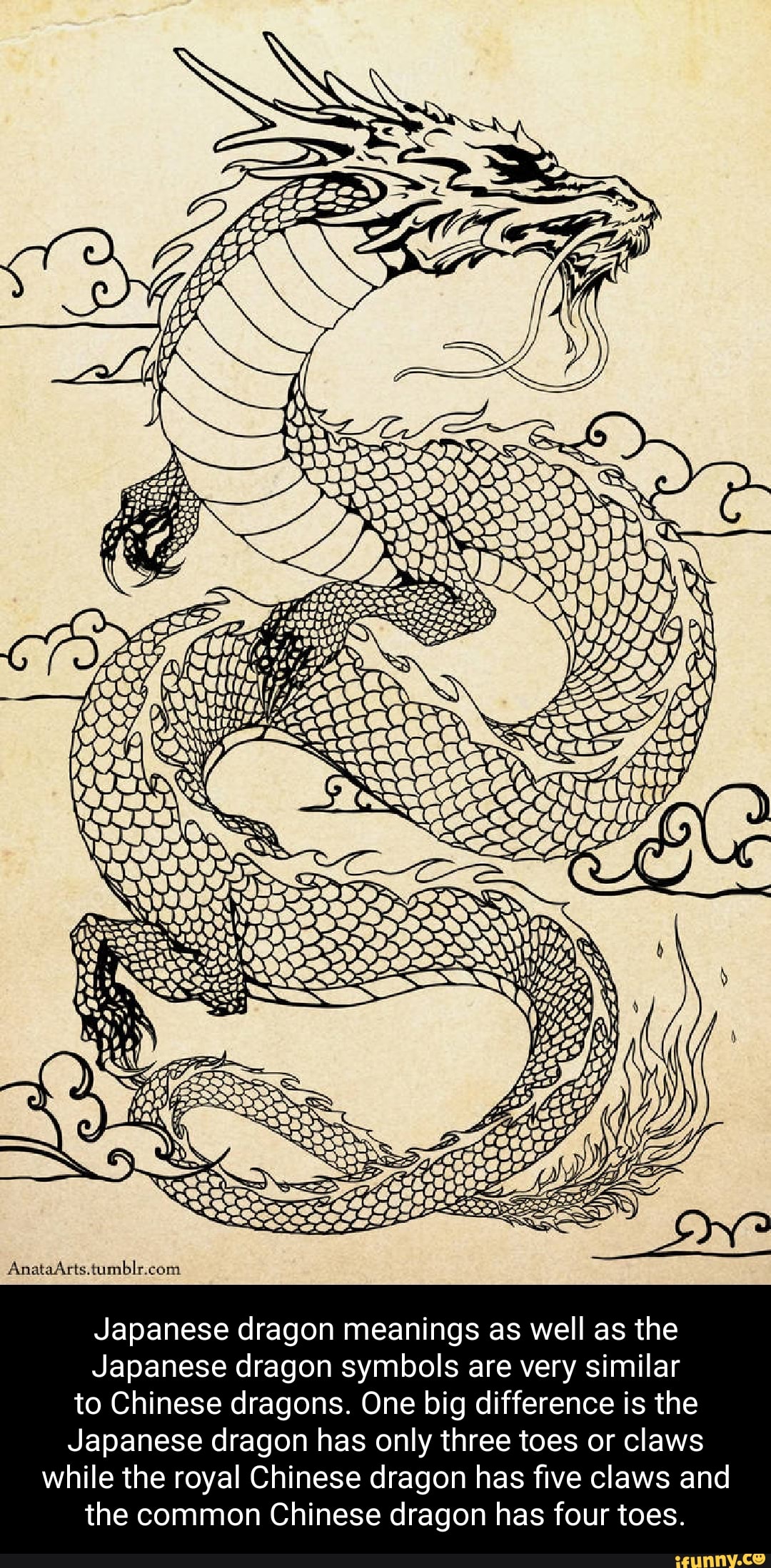 Japanese Dragon Meanings As Well As The Japanese Dragon Symbols Are Very Similar To Chinese 