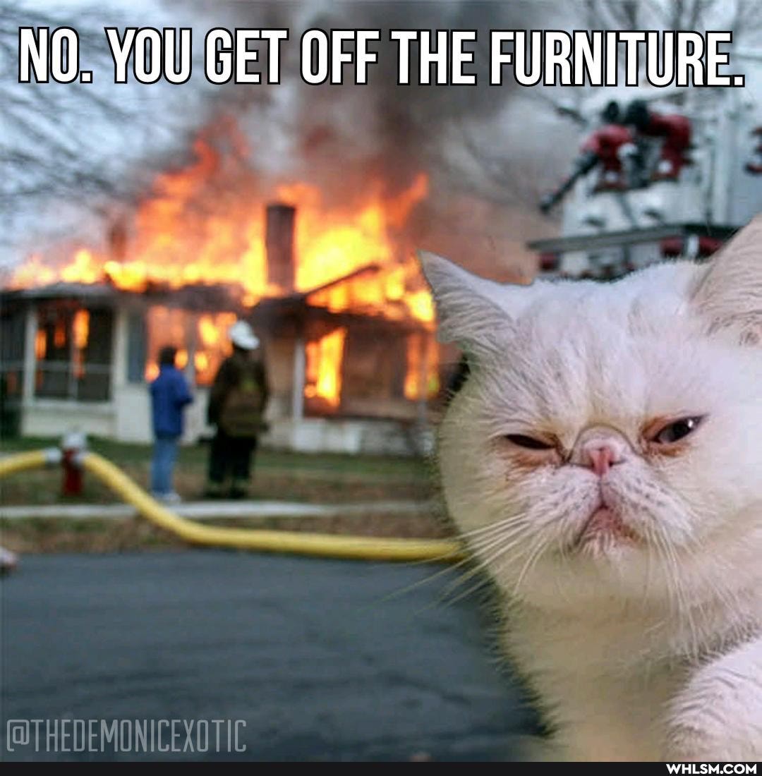 NO. YOU GET OFF THE FURNITURE.
(OT AT