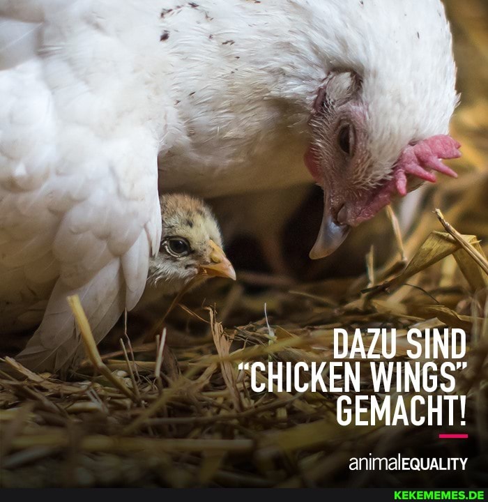 DAZU SIND
"CHICKEN WINGS"
GEMACHT!
animalEquaLITY
