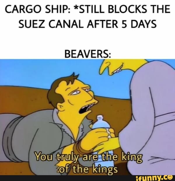 CARGO SHIP: *STILL BLOCKS THE SUEZ CANAL AFTER 5 DAYS BEAVERS: You ...