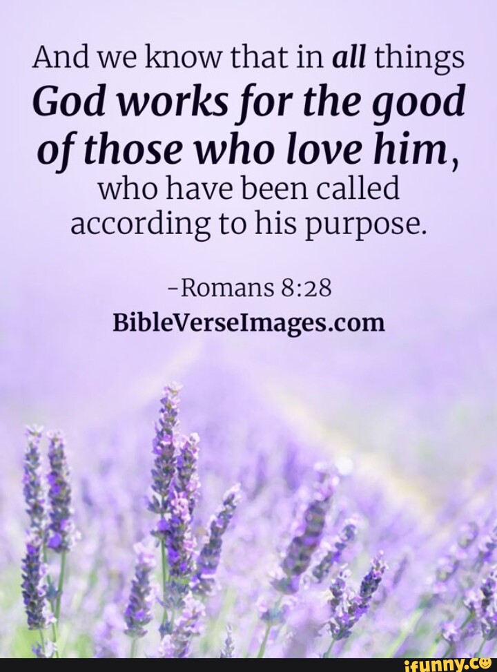 And We Know That In All Things God Works For The Good Of Those Who Love ...