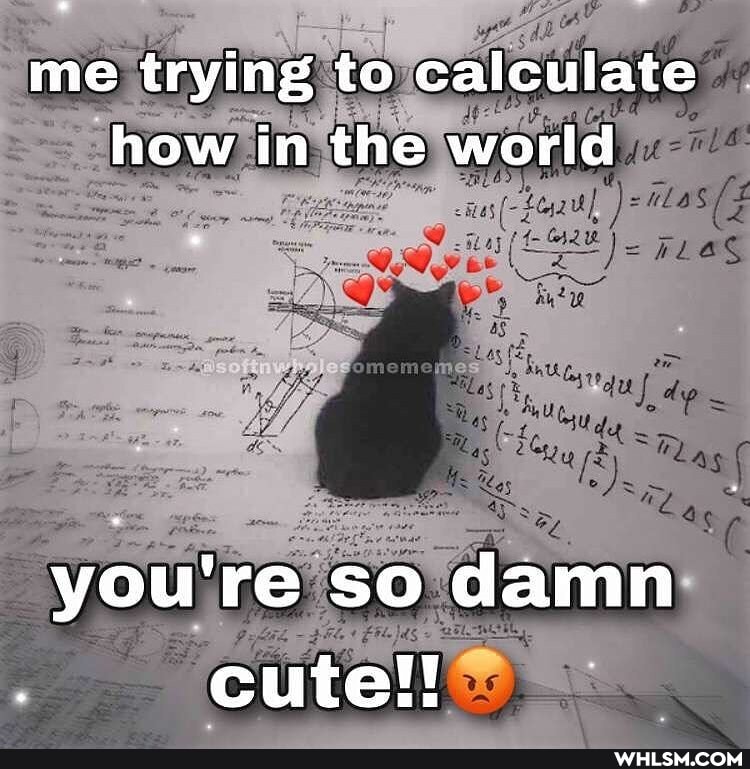 me trying to calculate how in the world
you're so damn cute!!