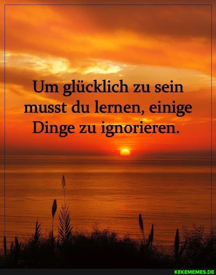 Um glücklich zu sein musst du lernen, einige
Dinge zu ignorieren.