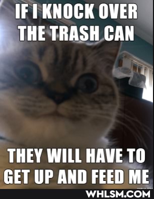 IF OVER THE TRASH CAN
THEY WILL HAVE TO
PET ID CEn ME
