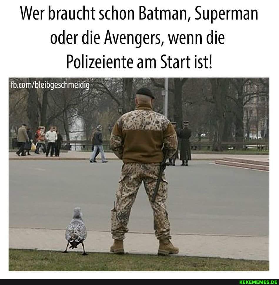 Wer braucht schon Batman, Superman oder die Avengers, wenn die
Polizeiente am Start ist!