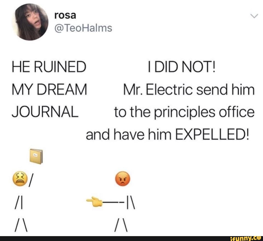 Rosa HE RUINED I DID NOT! MY DREAM Mr. Electric send him JOURNAL to the ...